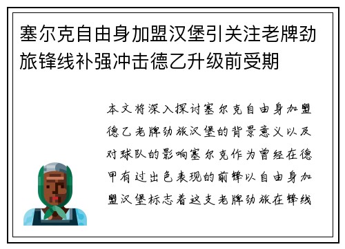 塞尔克自由身加盟汉堡引关注老牌劲旅锋线补强冲击德乙升级前受期 塞尔克自由身加盟汉堡引关注老牌劲旅锋线补强冲击德乙升级前受期